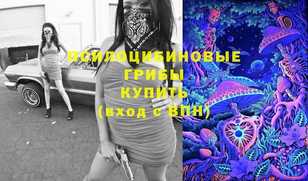 герыч Зеленокумск