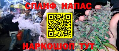 СК Гагарин