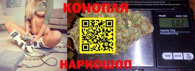 СК Гагарин