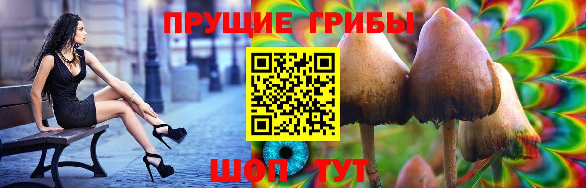 Галлюциногенные грибы ЛСД  Вход с VPN  Заводоуковск 